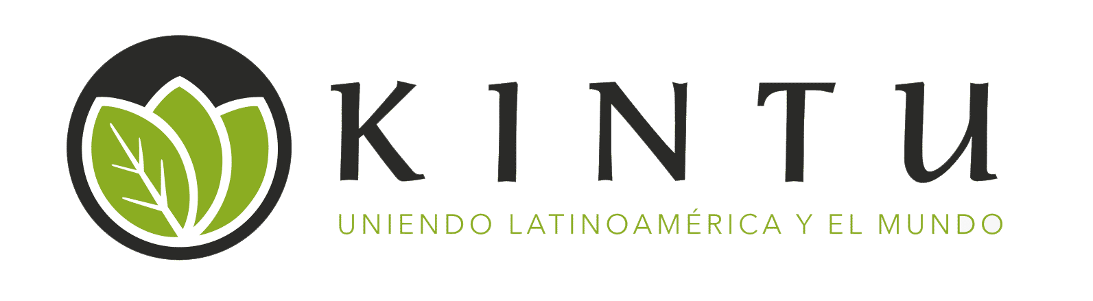 cropped-Logos-Grupo-Kintu-PDF-2-sin-fondo.png